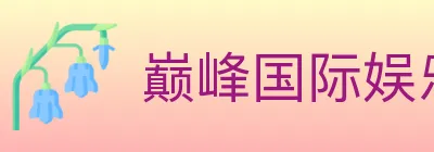 巅峰国际娱乐 logo